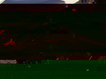 Foto 1.JPG