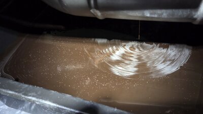 20260221_160134.jpg (387.14 KiB) 322-mal betrachtet 20260221_160134.jpg