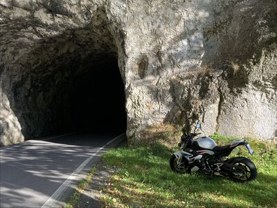 IMG_2231.jpeg