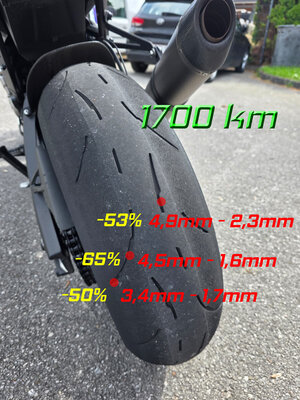 1700 km 01RS.jpg