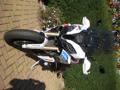 Blinker vorn 02.JPG