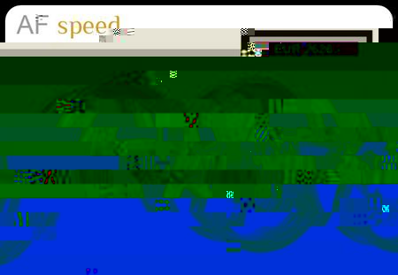 AF_SPEED.jpg