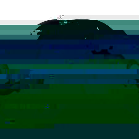 stfyas150_1_6.jpeg