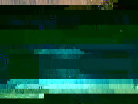image.jpg
