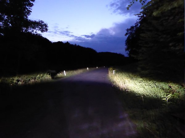 P1020493.jpg (239.22 KiB) 13682-mal betrachtet P1020493.jpg